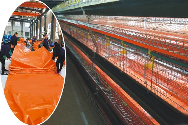 Le migliori applicazioni di teloni di razza in PVC per bestiame