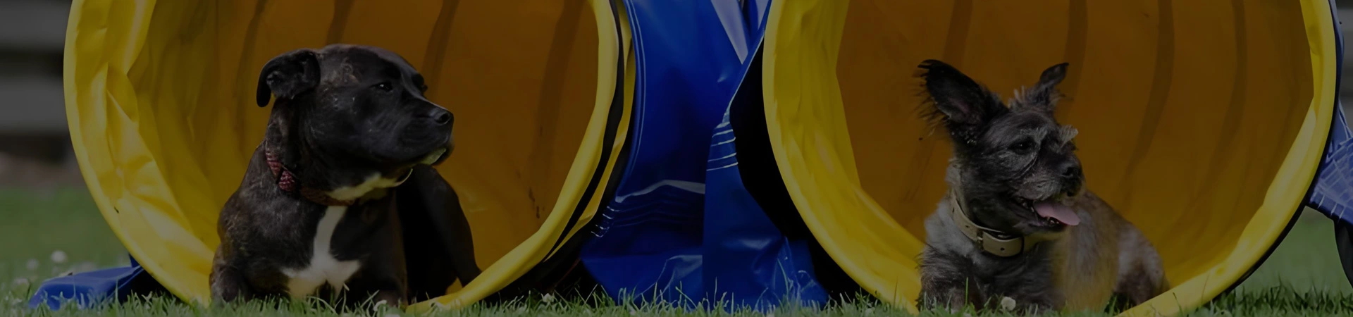 Materiale sportivo in PVC